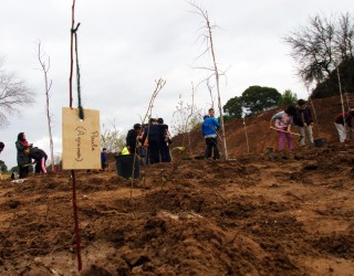 Estudiantes de Hellín apadrinan la plantación de árboles autóctonos en la ribera del río Mundo