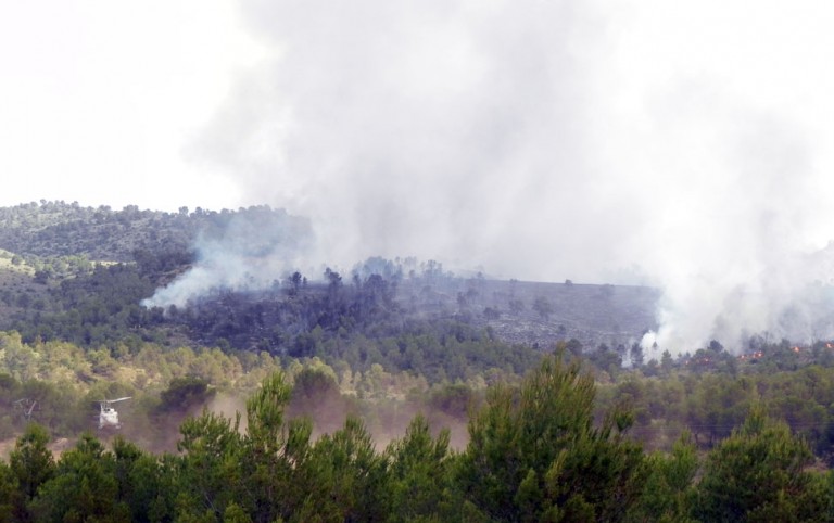 Declarado un incendio forestal en el término municipal de Liétor