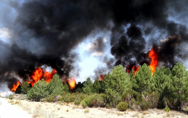 Controlado el incendio forestal de Nerpio