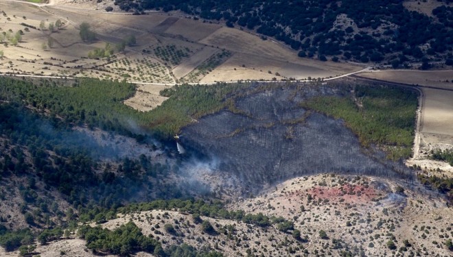 Declarado un incendio forestal en Nerpio