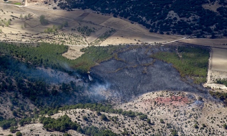 Declarado un incendio forestal en Nerpio