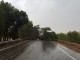 A causa de la tormenta un pino cayó sobre la carretera N-301