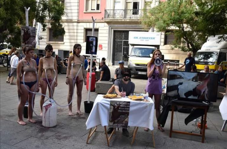 Machismo anti-vaca