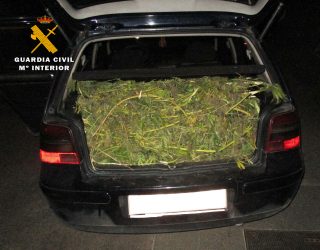 La Guardia Civil detiene a cinco personas e interviene 20 kilos de marihuana