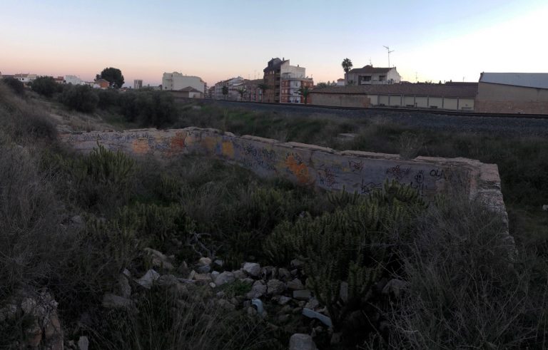 El Grupo Municipal del  Partido Popular preocupados por la nueva aparición del “Cactus Arizona”