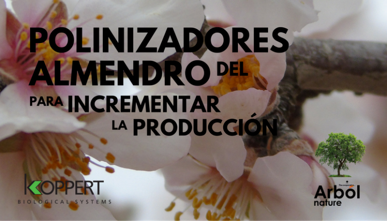 Jornada técnica sobre la polinización del almendro