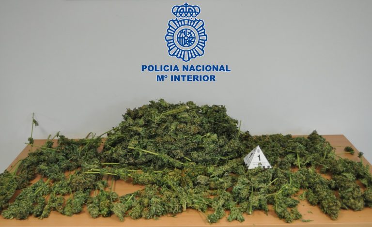 Cinco detenidos por tráfico de drogas