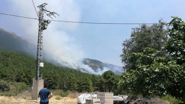 Aparatoso incendio en el Parque Natural del Calar del río Mundo