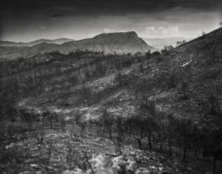 Un trabajo fotografico de David Flores, sobre el incendio de la Sierra de los Donceles, seleccionado en el Festival de Foto España