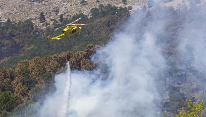 800 hectáreas afectadas por incendios forestales en la pasada campaña