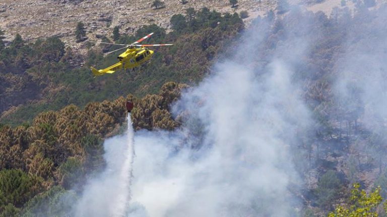 800 hectáreas afectadas por incendios forestales en la pasada campaña