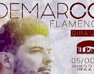 Gran expectación para ver el concierto del cantante Demarco Flamenco
