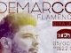 Gran expectación para ver el concierto del cantante Demarco Flamenco