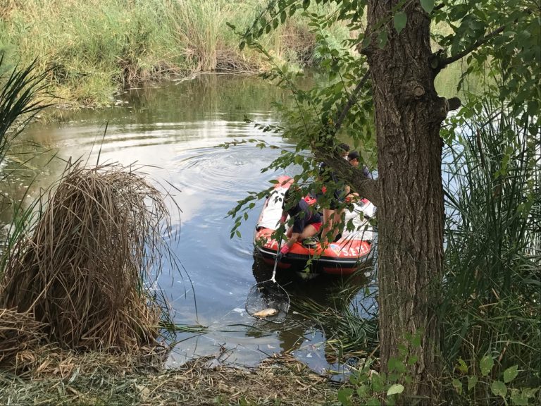 Miles de carpas muertas aparecen en la Laguna de los Patos