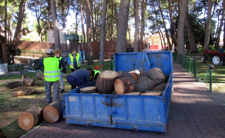 Tres pinos caídos en el Parque Municipal
