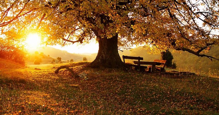 En el otoño de la vida