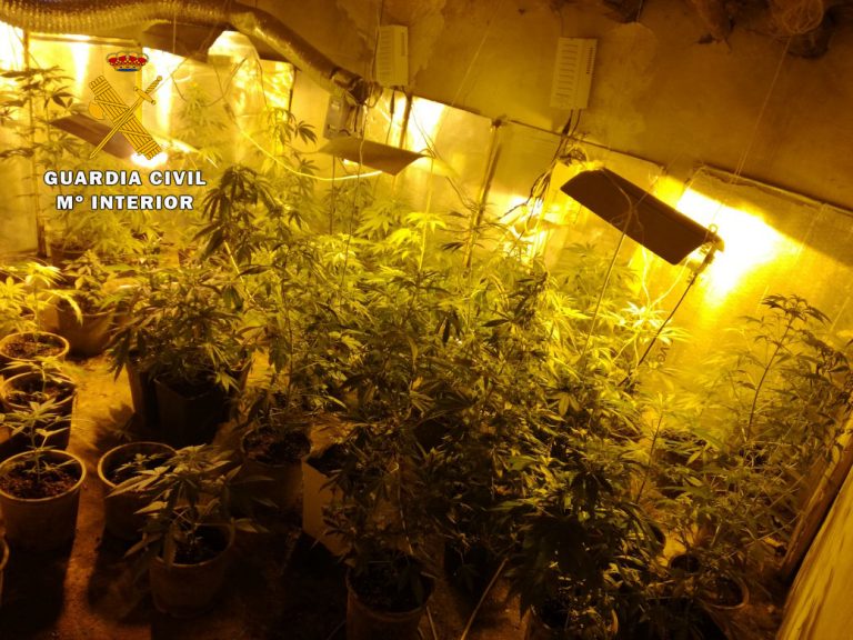 Cuatro detenidos por tráfico de drogas en Hellín