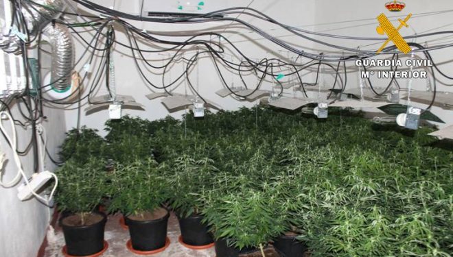 La Guardia Civil detiene a dos personas por cultivar marihuana en una vivienda deshabitada de Albatana