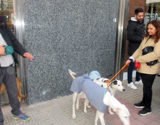 Merienda solidaria contra el maltrato animal