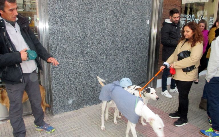 Merienda solidaria contra el maltrato animal