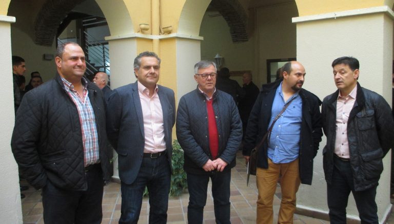 La plaga de la avispilla del almendro será declarada oficial en breve tiempo