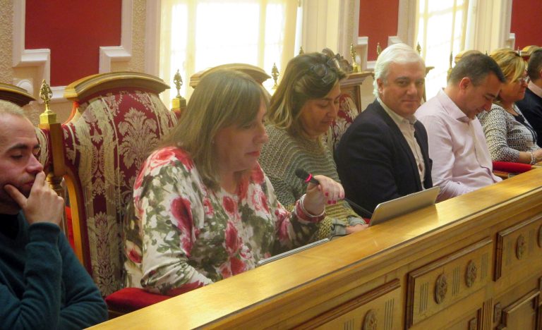 La portavoz de Ciudadanos, María Jesús López, se queda sin tren turístico
