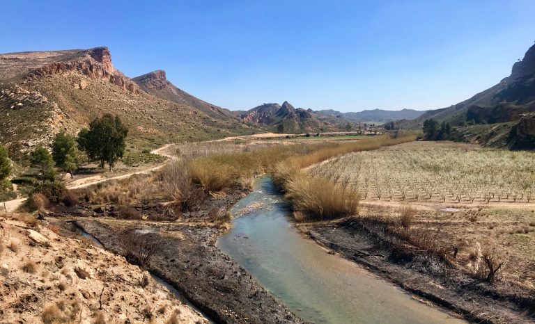 La Guardia Civil investiga a dos personas por un incendio en Moratalla y Hellín con más de 12. 000 metros² afectados