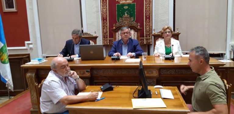 El Pleno aprobó crear una Comisión Técnica para estudiar la implantación de calles peatonales