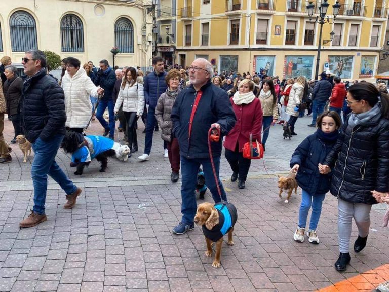 San Antón procesionó con mucho frío y con banda, pero sin nieve, ni cohetes