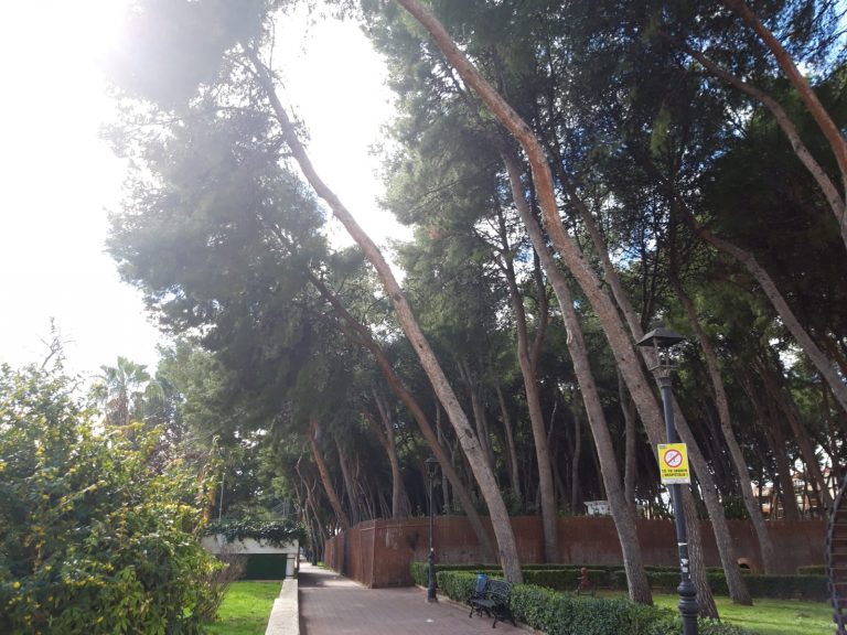 La remodelación del Parque Municipal