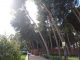 La remodelación del Parque Municipal