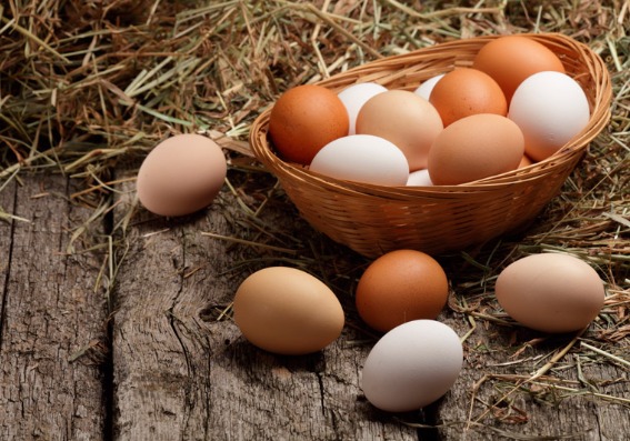 Tradición de huevos frescos 💪🏼🥚 cada - Huevos EL GRANJERO