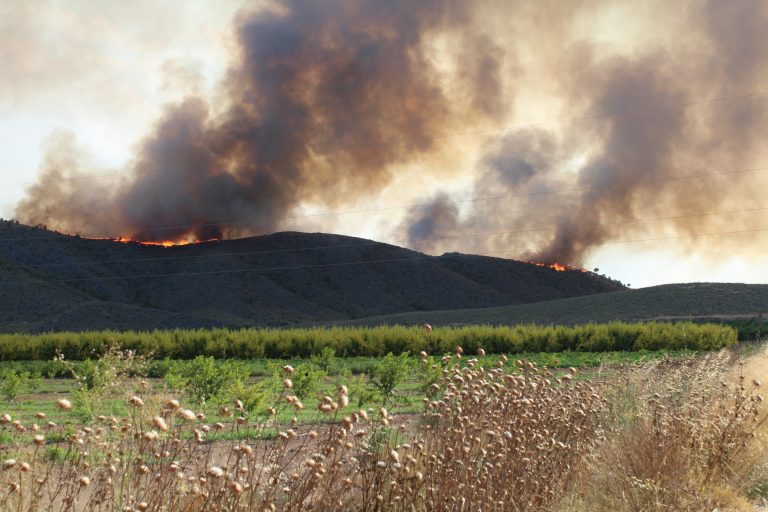 Verano y humo