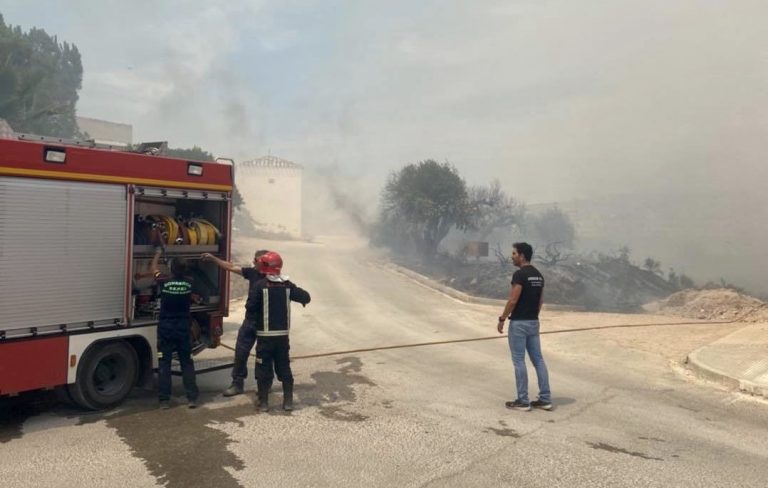 Dos hombres detenidos como presuntos autores de los incendios en la zona de El Calvario