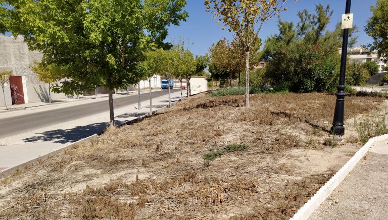 El PP reclama una mayor atención del Gobierno Municipal en el Barrio de El Palomar
