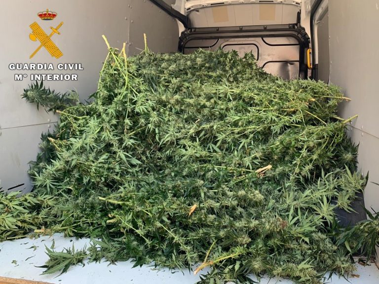 Detenidas tres personas en Minateda con casi 7 kilos de marihuana