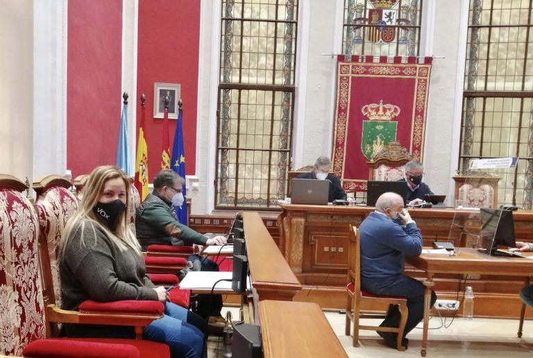 El pleno rechaza la moción de Ciudadanos que pedía más iluminación y vigilancia en el Jardín Martínez Parras
