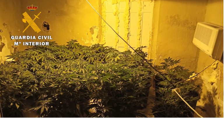 Detenidas tres personas e investigadas otras tres por cultivo “indoor” de marihuana en Tobarra