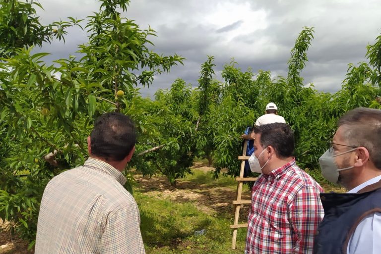 Moreno Moya reclama a Page que deje de estar en otras cosas y se centre en los problemas de los agricultores