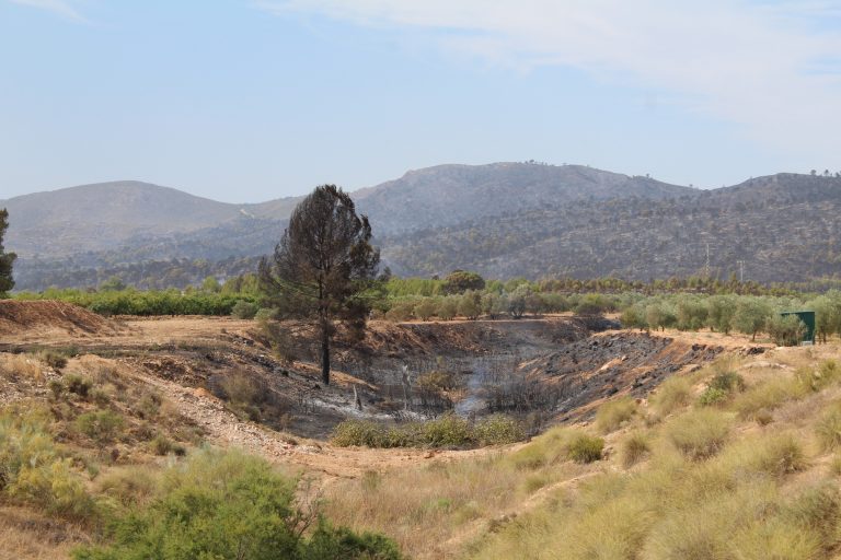 El incendio iniciado en Liétor en su última fase de extinción