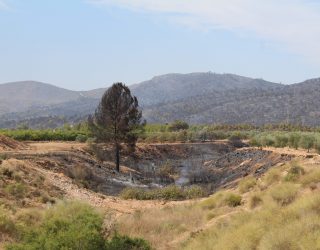 El incendio iniciado en Liétor en su última fase de extinción