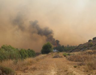 Moción del GM del PP solicitando ayudas para los perjudicados en el último incendio forestal