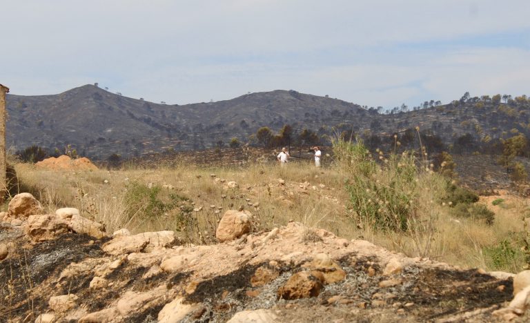 Un nuevo incendio castigó el término municipal de Hellín