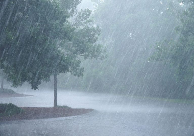 Alerta por lluvias y tormentas
