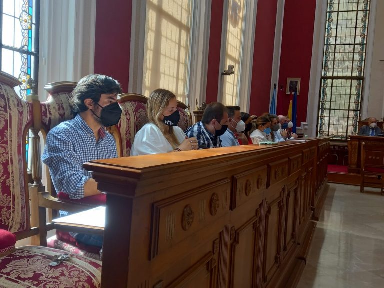 El salón de Plenos fue el escenario de un espectáculo no reflejado en el programa de Feria