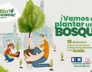 El departamento de Medio Ambiente creará un bosque en miniatura en “El Rincón de las Españas”