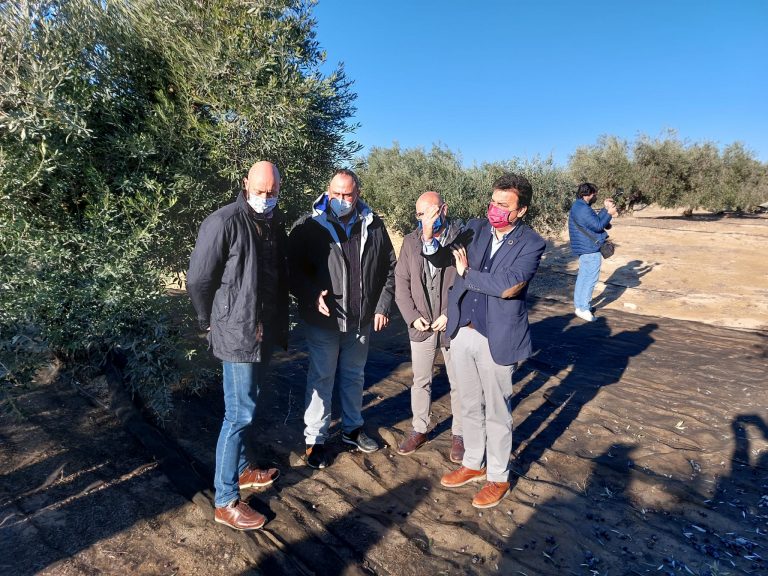 Francisco Martínez Arroyo, visita un olivar de bajo rendimiento y la almazara de San Joaquín de Agramón