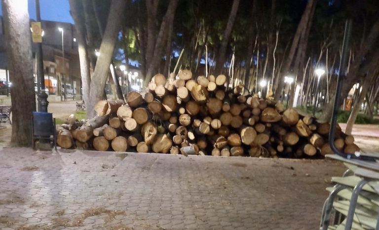 La remodelación del Parque Municipal continúa a buen ritmo