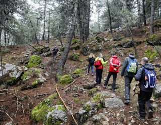 La Piedra del Cambrón, en Villaverde de Guadalimar próximo destino de las Rutas de Senderismo de la Diputación Provincial