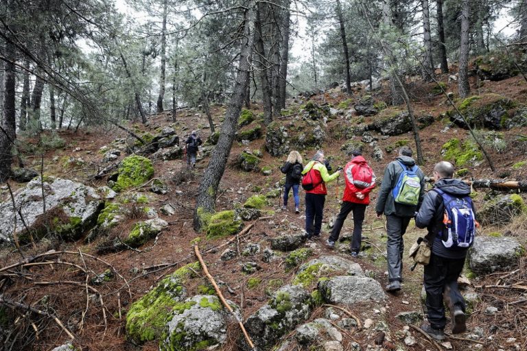 La Piedra del Cambrón, en Villaverde de Guadalimar próximo destino de las Rutas de Senderismo de la Diputación Provincial
